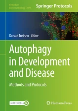 Autophagy in Development and Disease
圖片