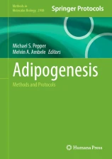 Adipogenesis圖片