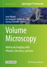 Volume Microscopy圖片