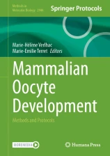 Mammalian Oocyte Development圖片