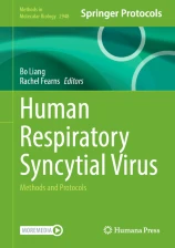 Human respiratory syncytial virus : methods and protocols
圖片