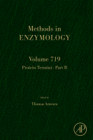 Protein Termini - Part B image
