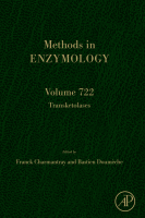 Transketolases image