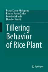 Tillering Behavior of Rice Plant圖片