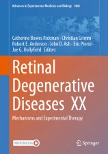 Retinal Degenerative Diseases  XX image