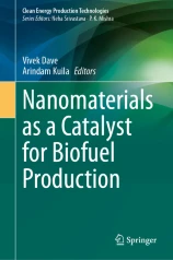 Nanomaterials as a Catalyst for Biofuel Production圖片