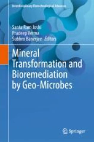 Mineral Transformation and Bioremediation by Geo-Microbes圖片