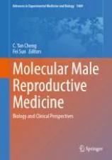 Molecular Male Reproductive Medicine image