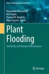Plant Flooding image