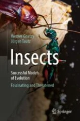 Insects - Successful Models of Evolution image