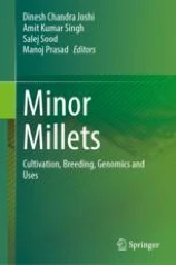 Minor Millets image