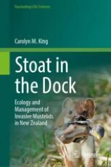 Stoat in the Dock image