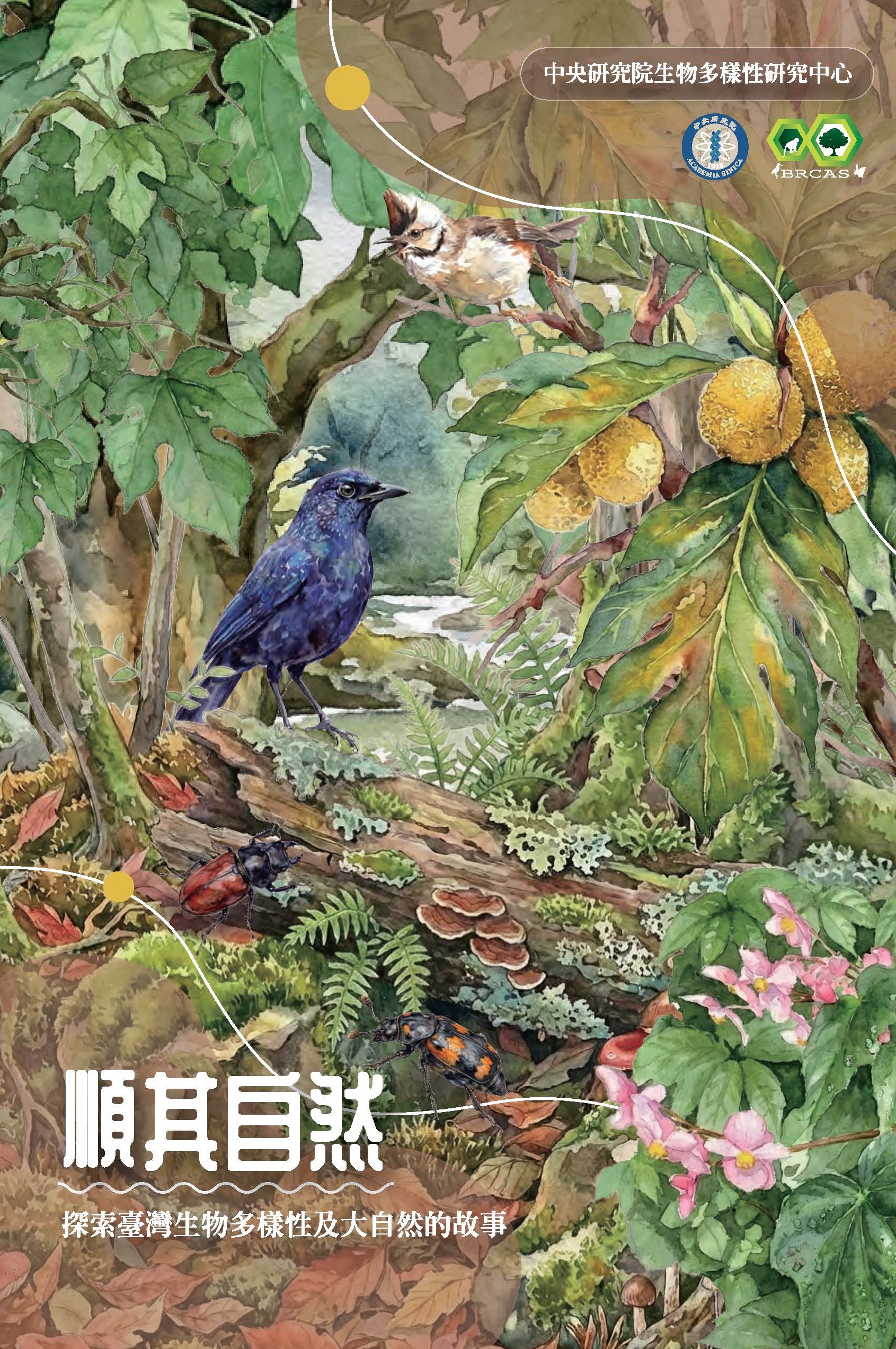 順其自然圖片