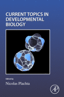 Cell Shape and Position during Development圖片