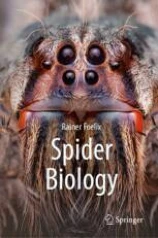 Spider Biology圖片