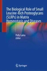 The Biological Role of Small Leucine-Rich Proteoglycans (SLRPs) in Matrix Homeostasis and Diseases圖片