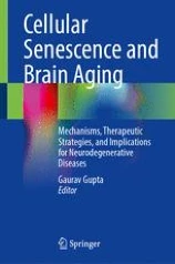 Cellular Senescence and Brain Aging圖片