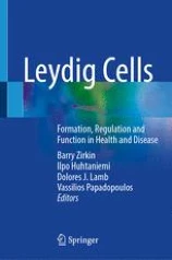 Leydig Cells圖片