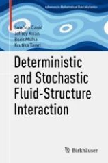 Deterministic and stochastic fluid-structure interaction圖片