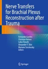 Nerve Transfers for Brachial Plexus Reconstruction after Trauma image