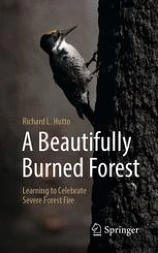 A Beautifully Burned Forest  image
