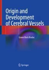 Origin and Development of Cerebral Vessels圖片