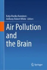 Air Pollution and the Brain圖片