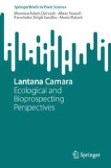 Lantana Camara圖片