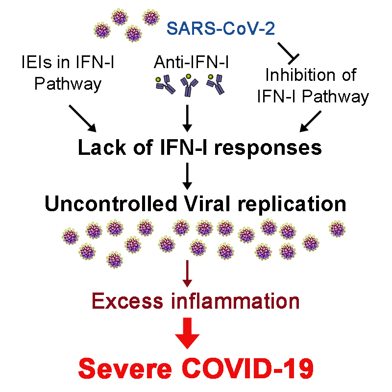 Infection-induced inflammation from specific inborn errors of immunity to COVID-19