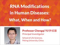 RNA modifications in human diseases: what, when and how?