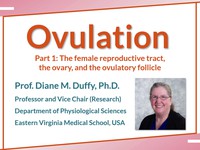 Ovulation: the female reproductive tract, the ovary, and the ovulatory follicle