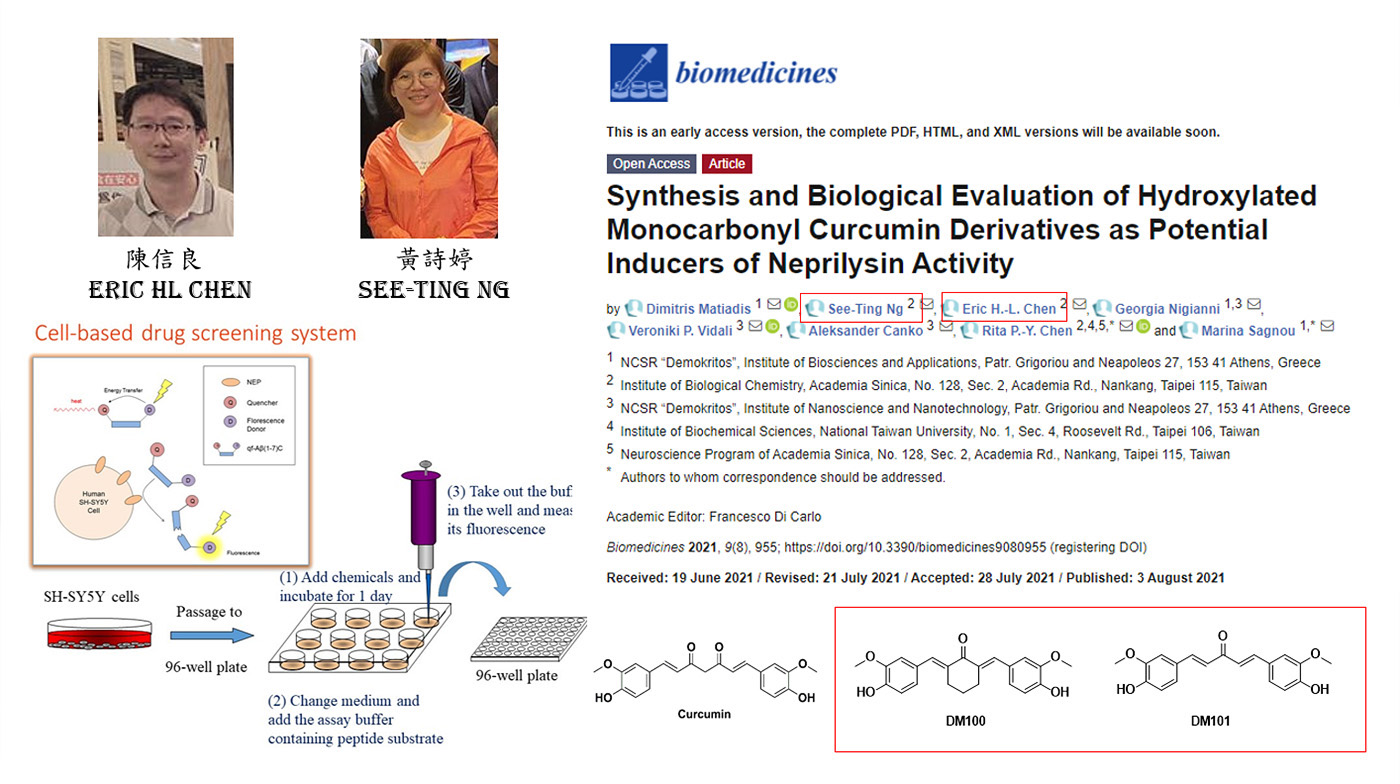 Synthesis and Biological Evaluation of Hydroxylated Monocarbonyl Curcumin Derivatives as Potential Inducers of Neprilysin Activity