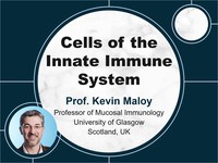 Cells of the innate immune system