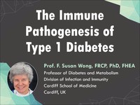 The immune pathogenesis of type 1 diabetes