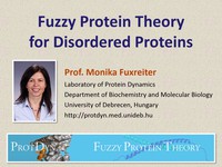 Fuzzy protein theory for disordered proteins