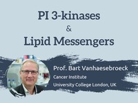 PI 3-kinases and lipid messengers