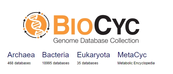 BioCyc Webinar
