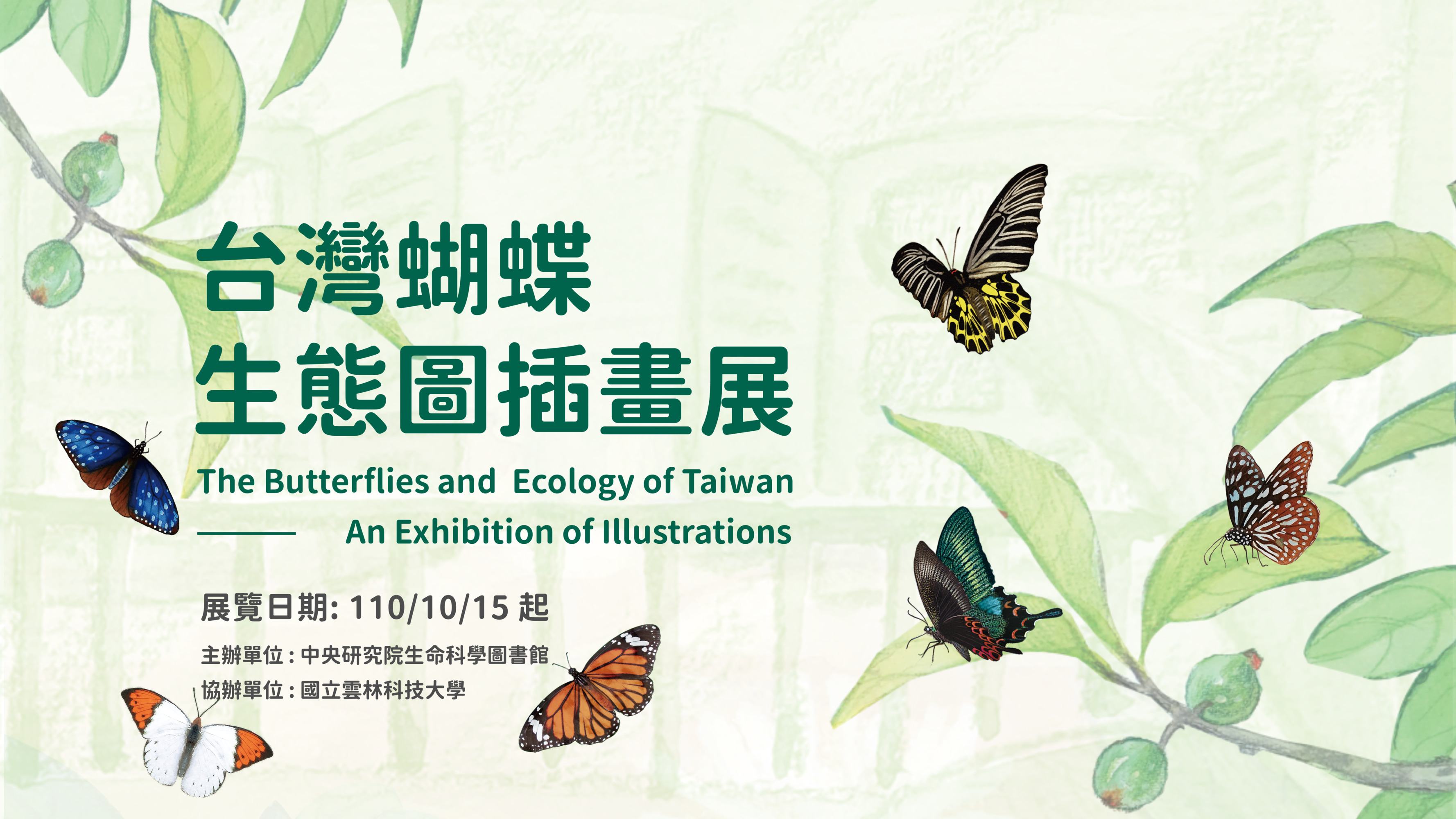 The Butterflies and Ecology of Taiwan- An Online Exhibition of Illustration