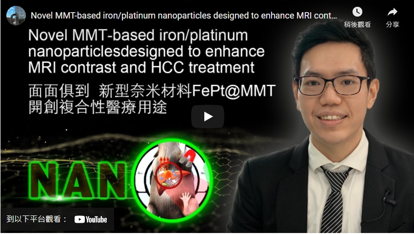 Novel MMT-based iron/platinum nanoparticles designed to enhance MRI contrast and HCC treatment