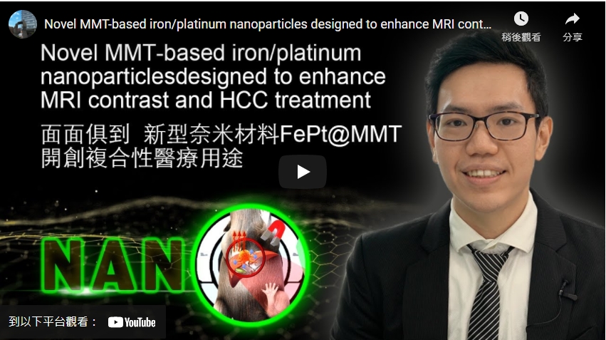 Novel MMT-based iron/platinum nanoparticles designed to enhance MRI contrast and HCC treatment