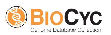 BioCyc 25.5 Released