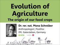 Evolution of agriculture: the origin of our food crops