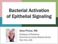 Bacterial activation of epithelial signaling