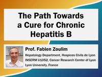 The path towards a cure for chronic hepatitis B
