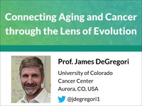 Connecting aging and cancer through the lens of evolution