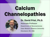 Calcium channelopathies