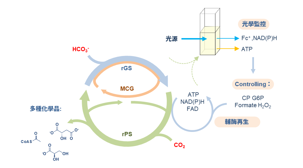 Faster than Photosynthesis! Academia Sinica Creates an Efficient Carbon Fixation System to Support Carbon-Negative Technologies