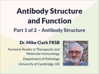 Antibody structure and function: antibody structure