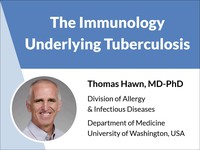 The immunology underlying tuberculosis