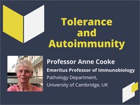 Tolerance and autoimmunity